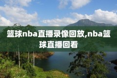 nba湖人对猛龙录像回放,湖人对猛龙全场回放