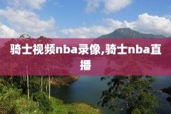 nba2006年季后赛录像,2006年季后赛nba回放
