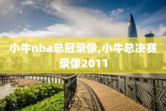 93年nba总决赛录像百度云,19921993nba总决赛
