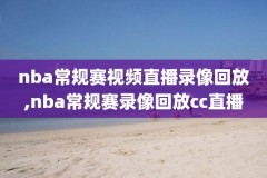 2006nba总决赛高清录像回放,2006年nba总决赛g6