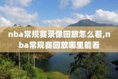 nba录像下载espn,nba录像下载去哪个网站
