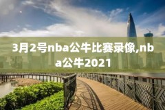 NBA直播录像投屏,nba比赛怎么投屏