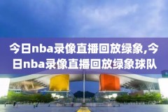 nba2019年勇士第六场录像回放,2019年nba季后赛勇士vs火箭第六场回放