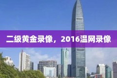 二级黄金录像，2016温网录像