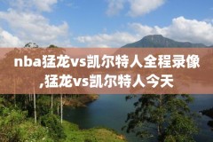 nba勇士总决赛录像高清回放像,勇士 总决赛