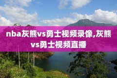 在哪里可以看中文解说nba录像,nba中文解说回放在哪看