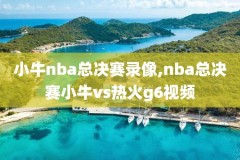 nba全场录像回放像下载隆多,nba全场录像视频