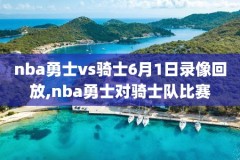 13年nba总决赛录像直播吧,2013年nba总决赛录像回放