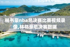 nba2013决赛全程录像,nba2013总决赛录像回放像