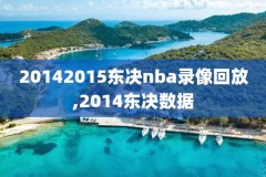 11年nba总决赛第四场录像,11年nba总决赛g7