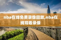 nba录像回放夸克网盘,nba录像 网盘