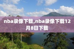 nba季录像,nba录像回录像高清国语季后赛