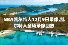 nba2kol录像速度8倍,nba2konline录像怎么调速