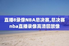 2008湖人队nba录像回放,2008年湖人总决赛视频