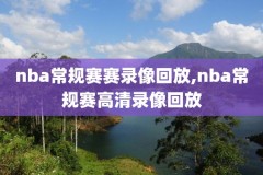2015nba常规赛火箭热火比赛录像,2015年火箭季后赛录像