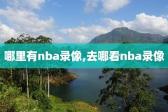 nba录像jsr,NbA录像回放用什么软件好