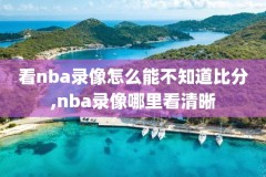 98nba篮球网录像回放免费,98篮球网 录像