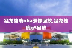 nba录像回放国内解说,nba录像回放视频回放中文