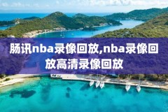 nba录像光盘,nba录像高清回放像用什么软件