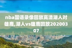 nba录像野球帝,nba3x野球帝队直播回放