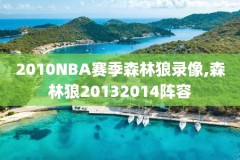 2016NBA总决赛录像,2016nba总决赛cctv
