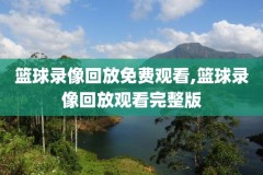 nba录像吧,nba录像吧直播回放98