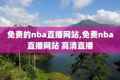 2011年nba西部半决赛录像回放,nba2011年西部决赛录像回录像