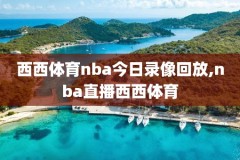 nba录像扣蓝大,nba录像扣篮大赛