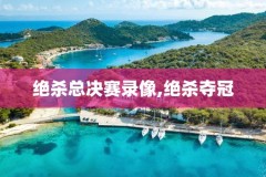 绝杀总决赛录像,绝杀全场