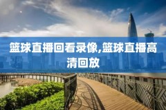 nba2014总决赛录像回放像,2014年nba总决赛g3回放国语