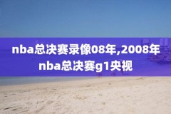 2017nba总决赛g2录像,2017nba总决赛g1