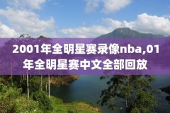 2010年nba总决赛第四场录像回放,nba2010总决赛第六场录像回放