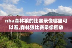 nba季前赛快船录像,nba 季前赛录像